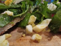 /album/fotos/image00010-jpg/