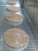 /album/fotos/image00012-jpg/