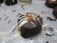 /album/fotos/image00025-jpg1/